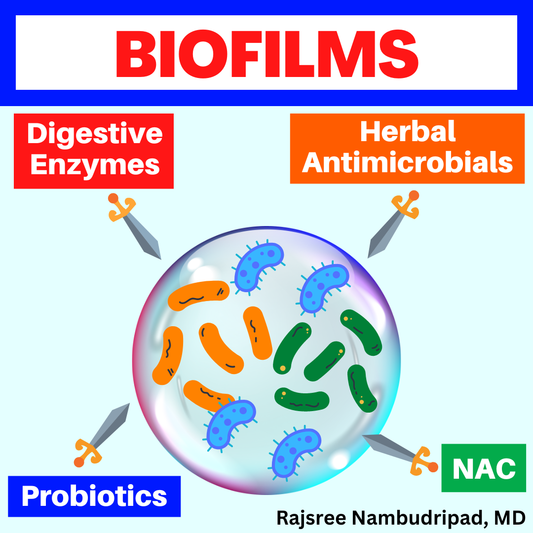 BIOFILMS In The Gut Microbiome – OC Integrative Medicine